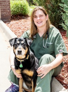 Brenda Eisenhauer, DVM